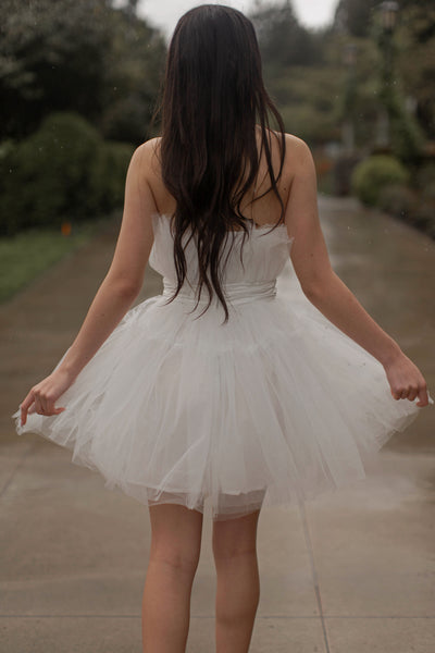 Sweet Heart Tulle Mini Dress