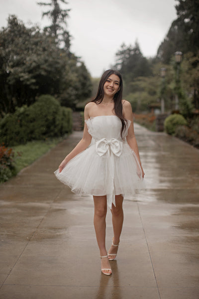 Sweet Heart Tulle Mini Dress